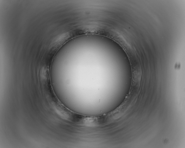 X0000097630126200803071539