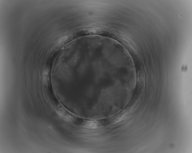 X0000097630127200803071539