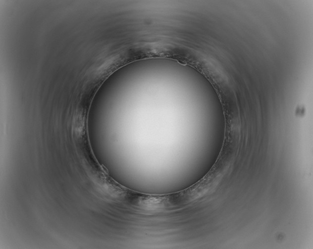 X0000097630129200803071539