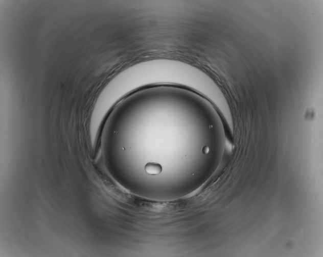 X0000097630130200803071539