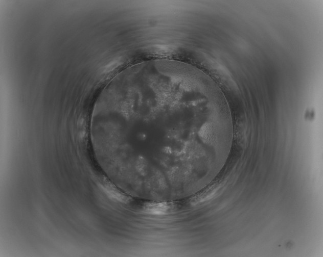 X0000097630131200803071539