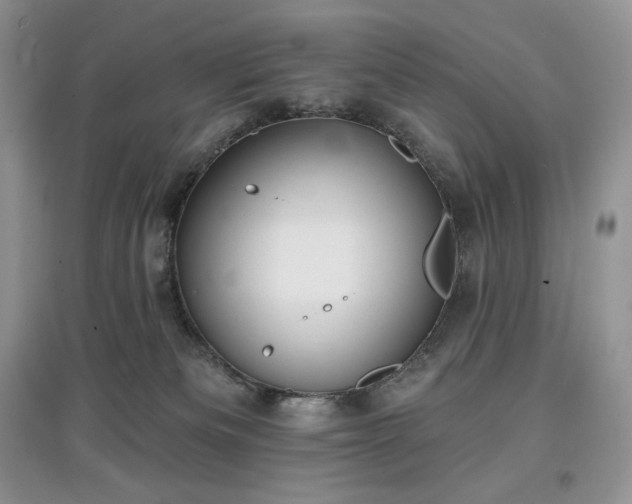 X0000097630133200803071539