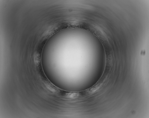 X0000097630135200803071539