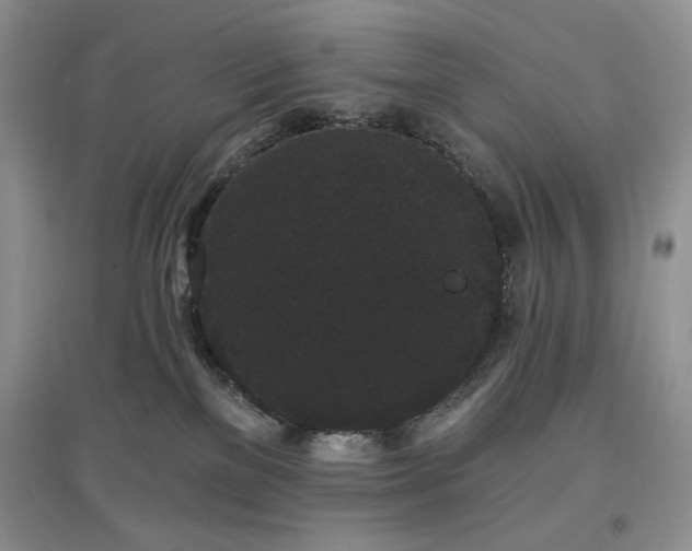 X0000097630137200803071539