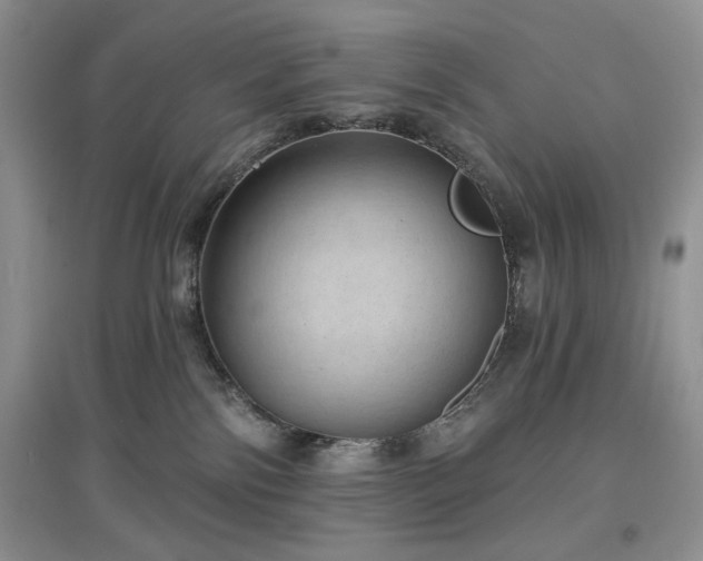 X0000097630138200803071539