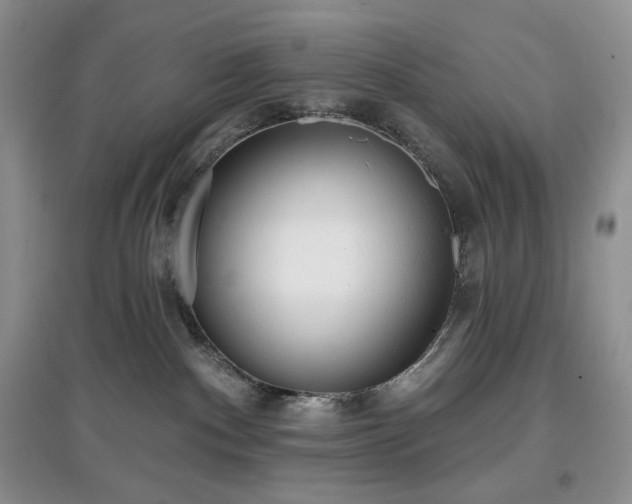 X0000097630140200803071539