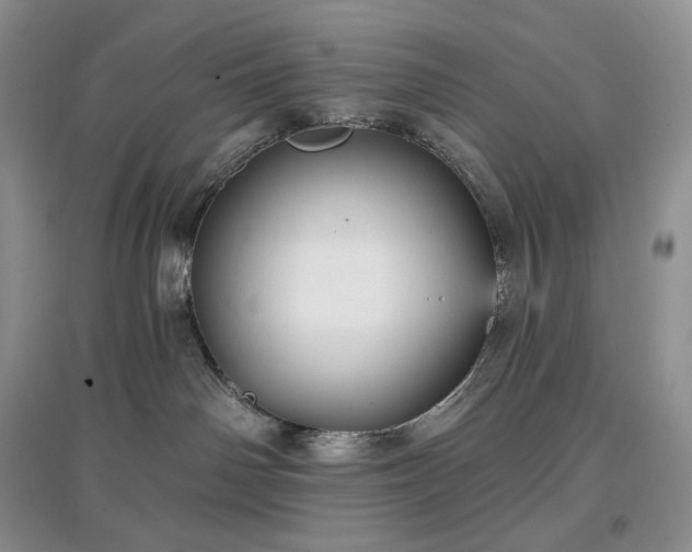 X0000097630142200803071539