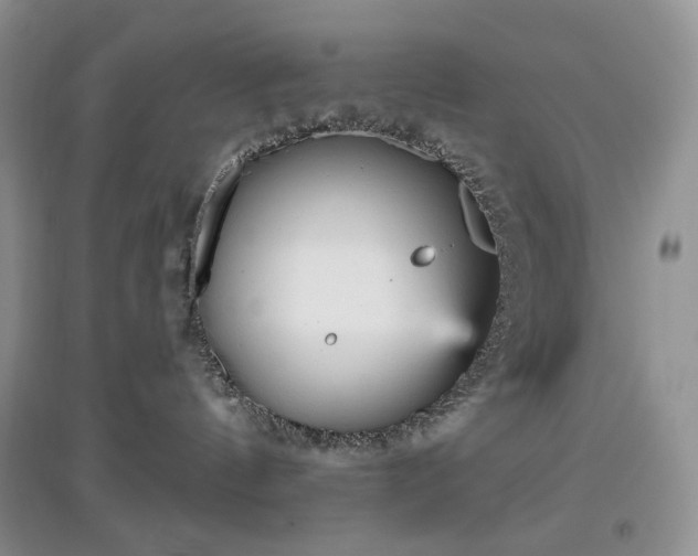 X0000097630144200803071539