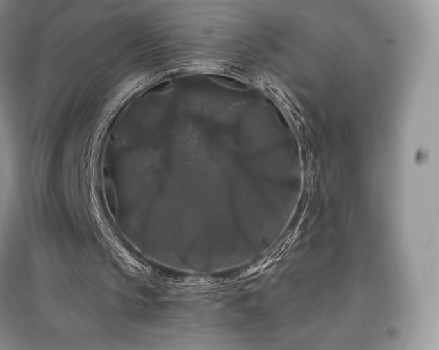 X0000097630145200803071538