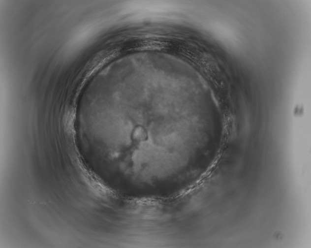 X0000097630146200803071538