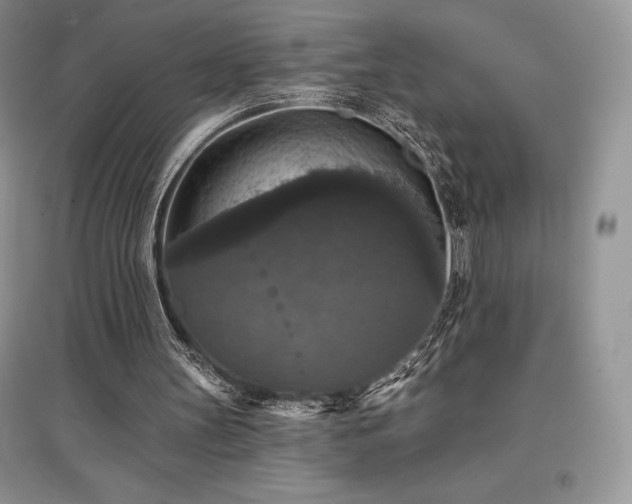 X0000097630147200803071538