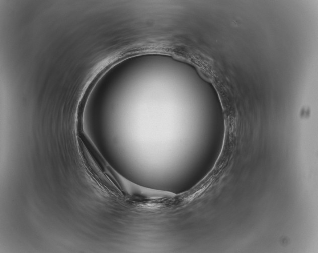 X0000097630148200803071538