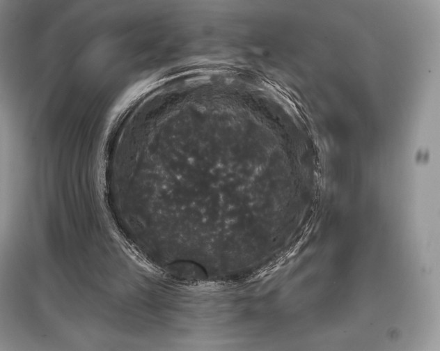 X0000097630149200803071538