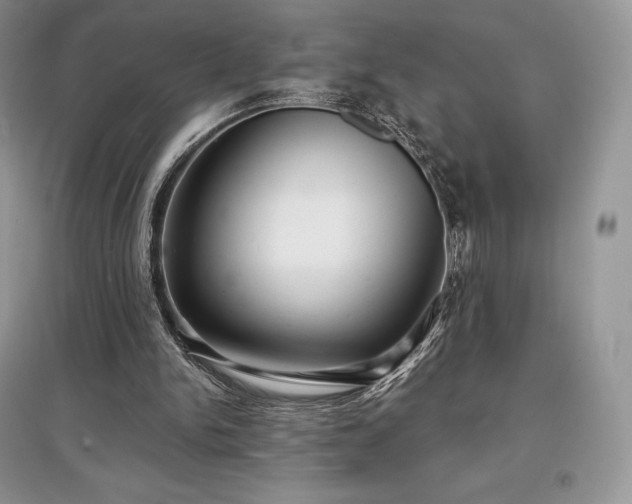 X0000097630150200803071538