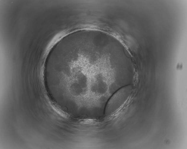 X0000097630151200803071538