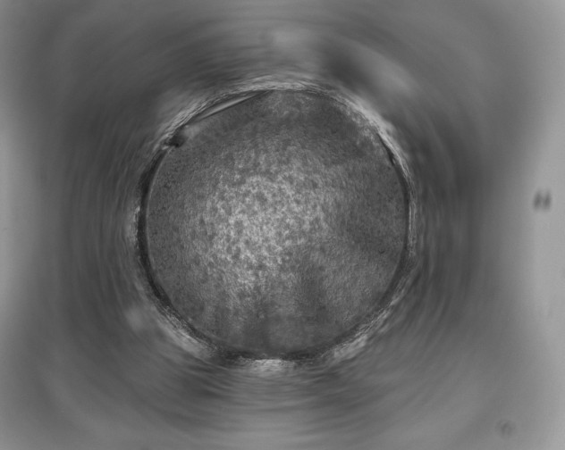 X0000097630153200803071538