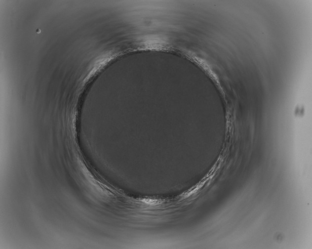 X0000097630154200803071538