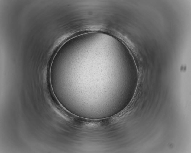 X0000097630155200803071538