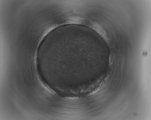 X0000097630156200803071538