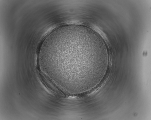 X0000097630157200803071538