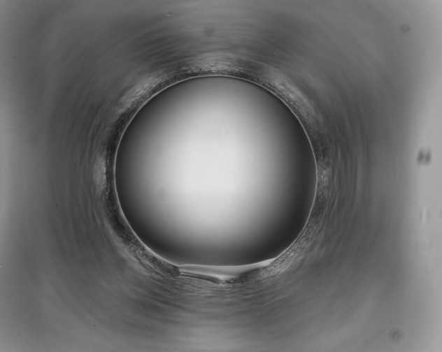 X0000097630158200803071538