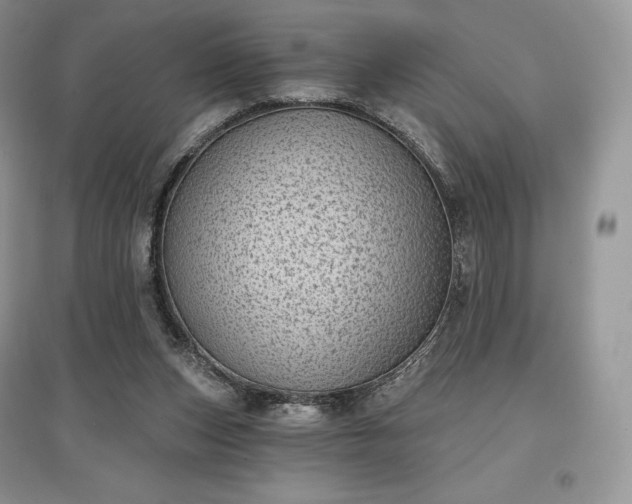 X0000097630159200803071538