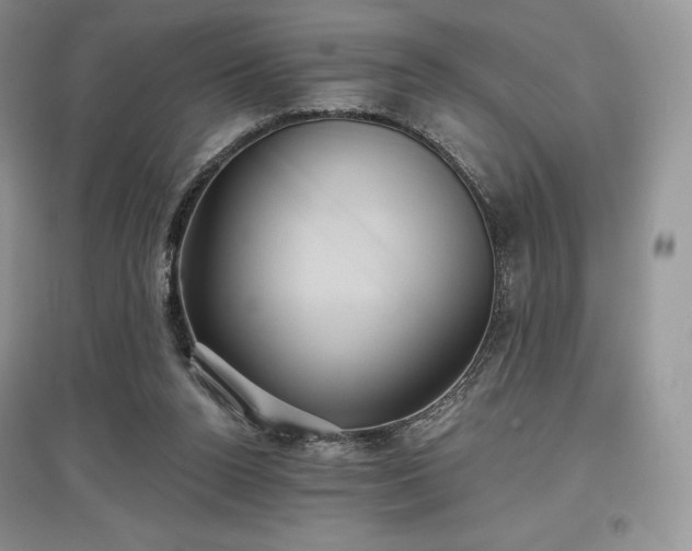 X0000097630160200803071538