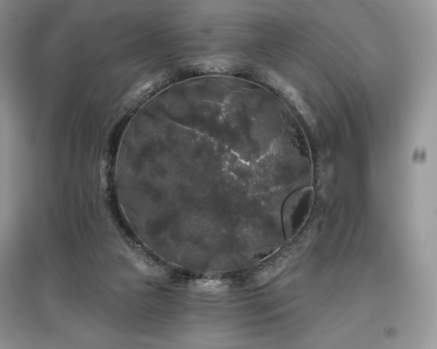 X0000097630161200803071538