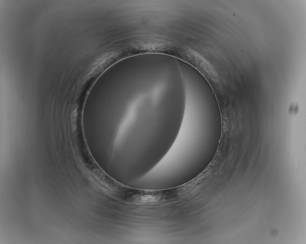 X0000097630163200803071538