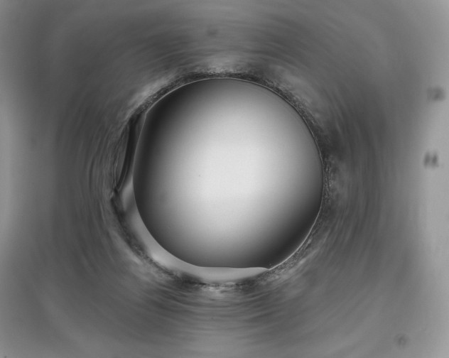 X0000097630164200803071538