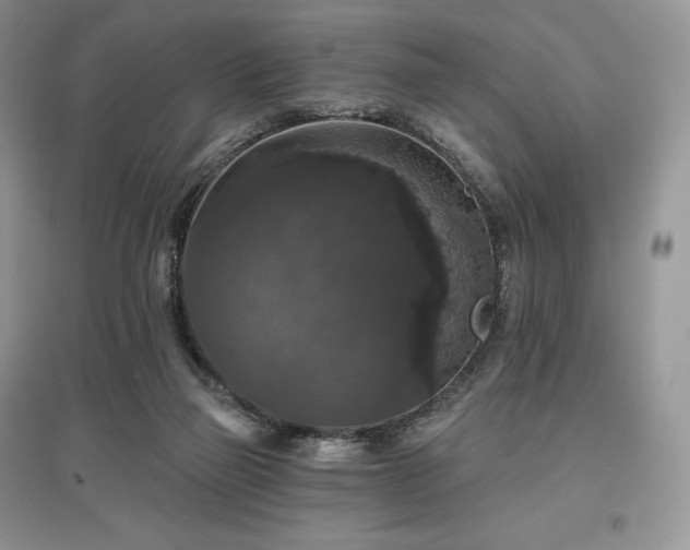 X0000097630165200803071538