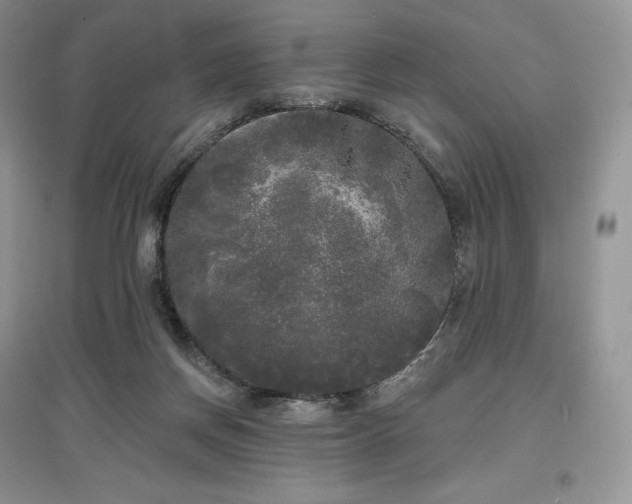 X0000097630166200803071538