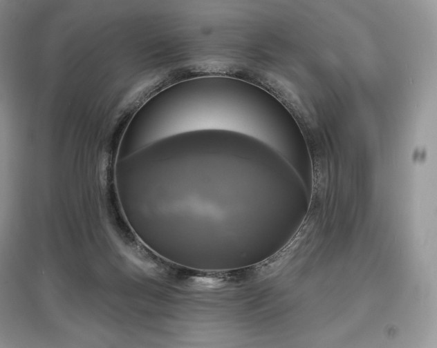 X0000097630167200803071538