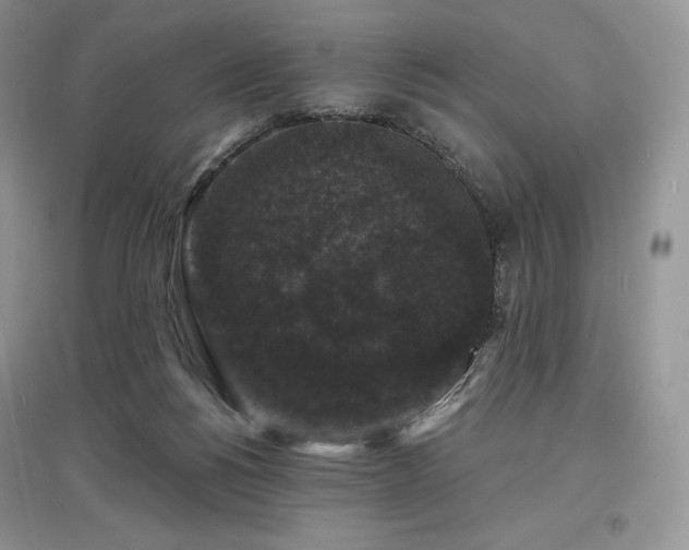 X0000097630168200803071539