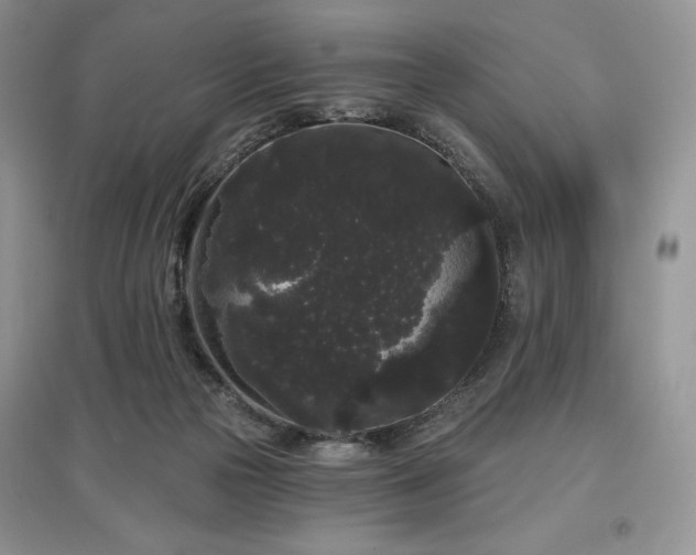 X0000097630169200803071539