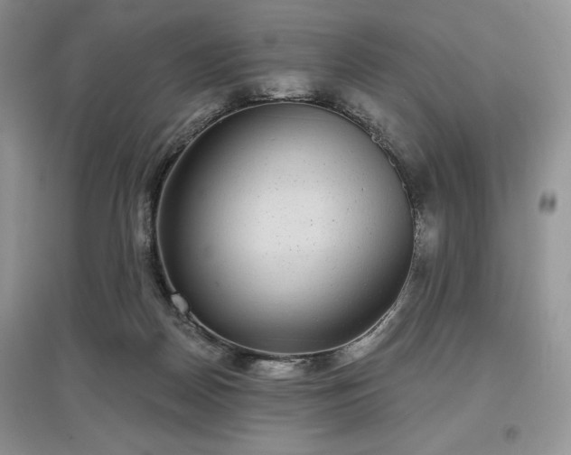 X0000097630170200803071539