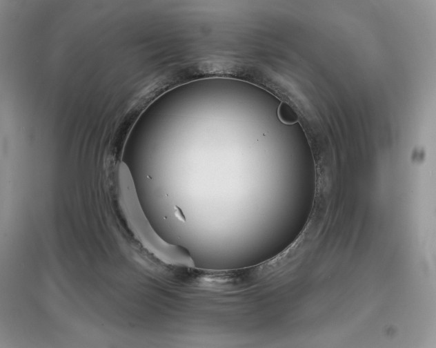 X0000097630171200803071539