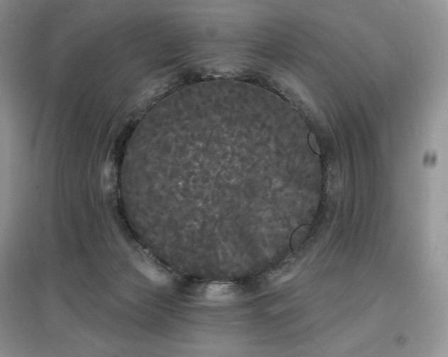 X0000097630173200803071539