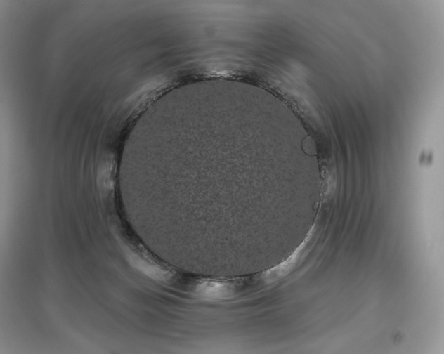 X0000097630174200803071539