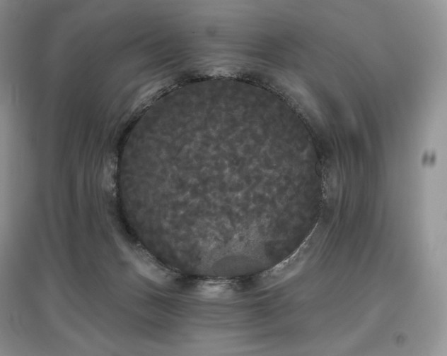 X0000097630175200803071539