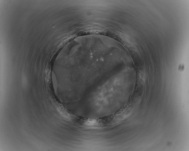 X0000097630177200803071539