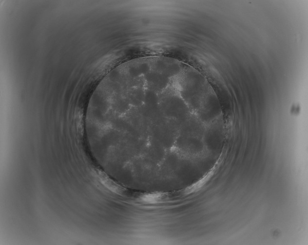 X0000097630178200803071539