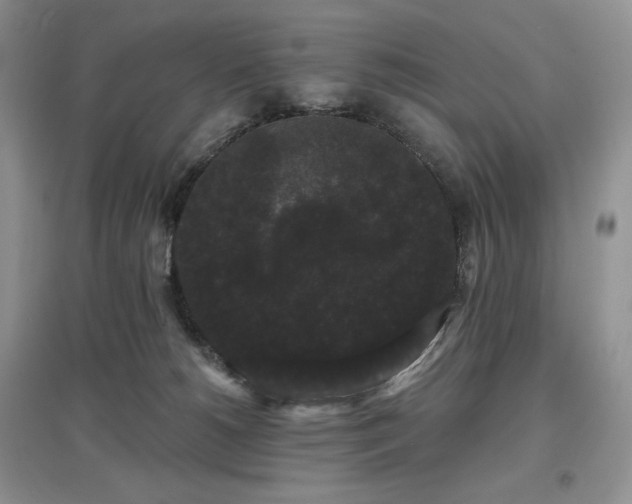 X0000097630180200803071539