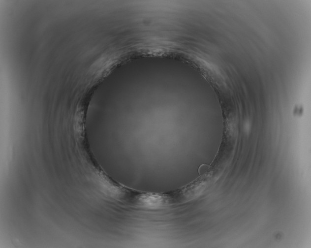 X0000097630181200803071539