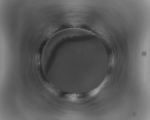 X0000097630182200803071539