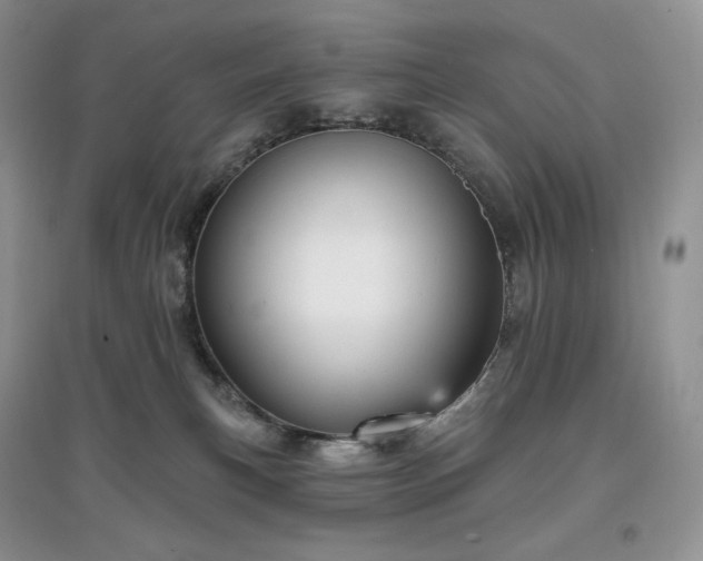 X0000097630183200803071539