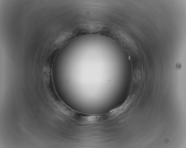 X0000097630184200803071539