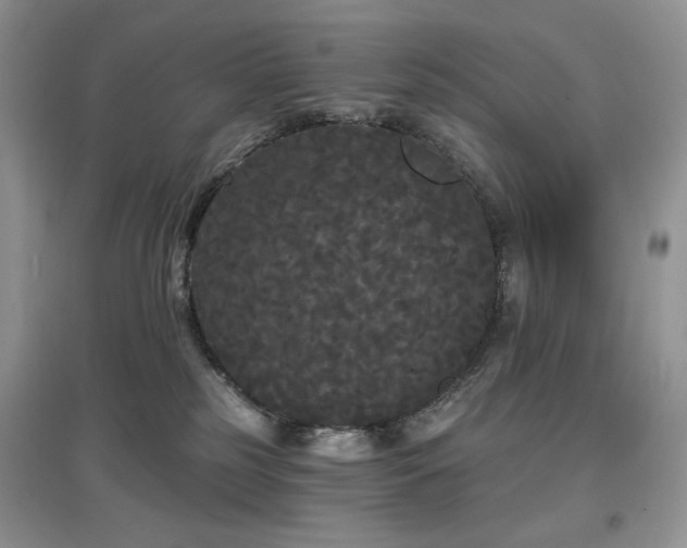 X0000097630185200803071539