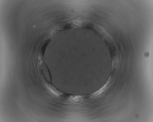 X0000097630186200803071539