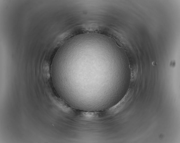 X0000097630187200803071539